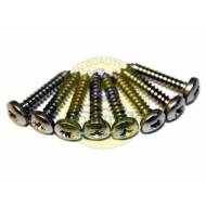 Stainless Front Grill Screw Kit