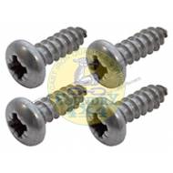 Stainless Headlight Surround Screw Kit