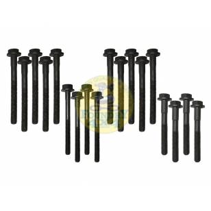 200Tdi Head Bolt Kit - OEM