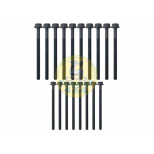 2.2 Tdci / Puma Head Bolt Set