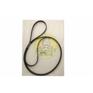 Fan / Drive Belt - OEM