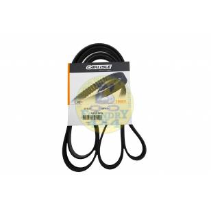 Fan / Drive Belt - OEM