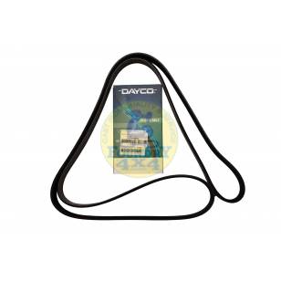 Alternator Drive Belt