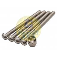 M10 x 110 Tamper Proof Bolt Set of 4