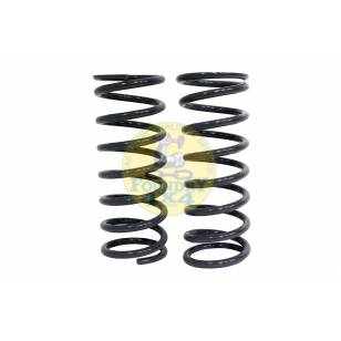 Terrafirma +2" Light Load Rear Springs Pair 