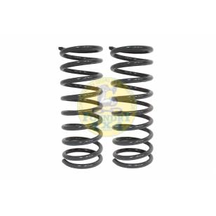Terrafirma +2" Light Load Front Springs Pair 