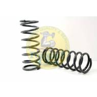 Terrafirma +2" Heavy Load Front Springs Pair 