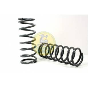 Terrafirma +2" Medium Load Front Springs Pair 